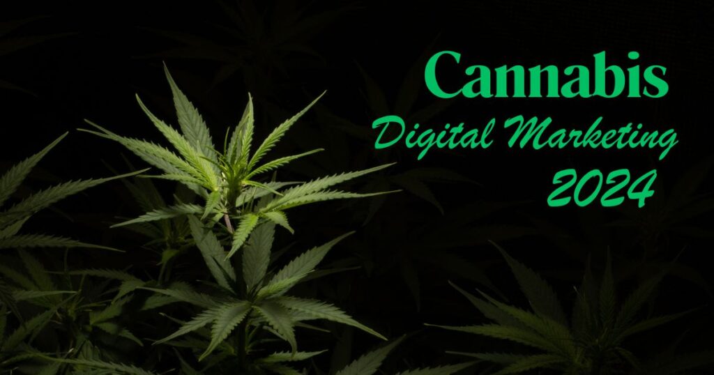 Cannabis Digtal Marketing